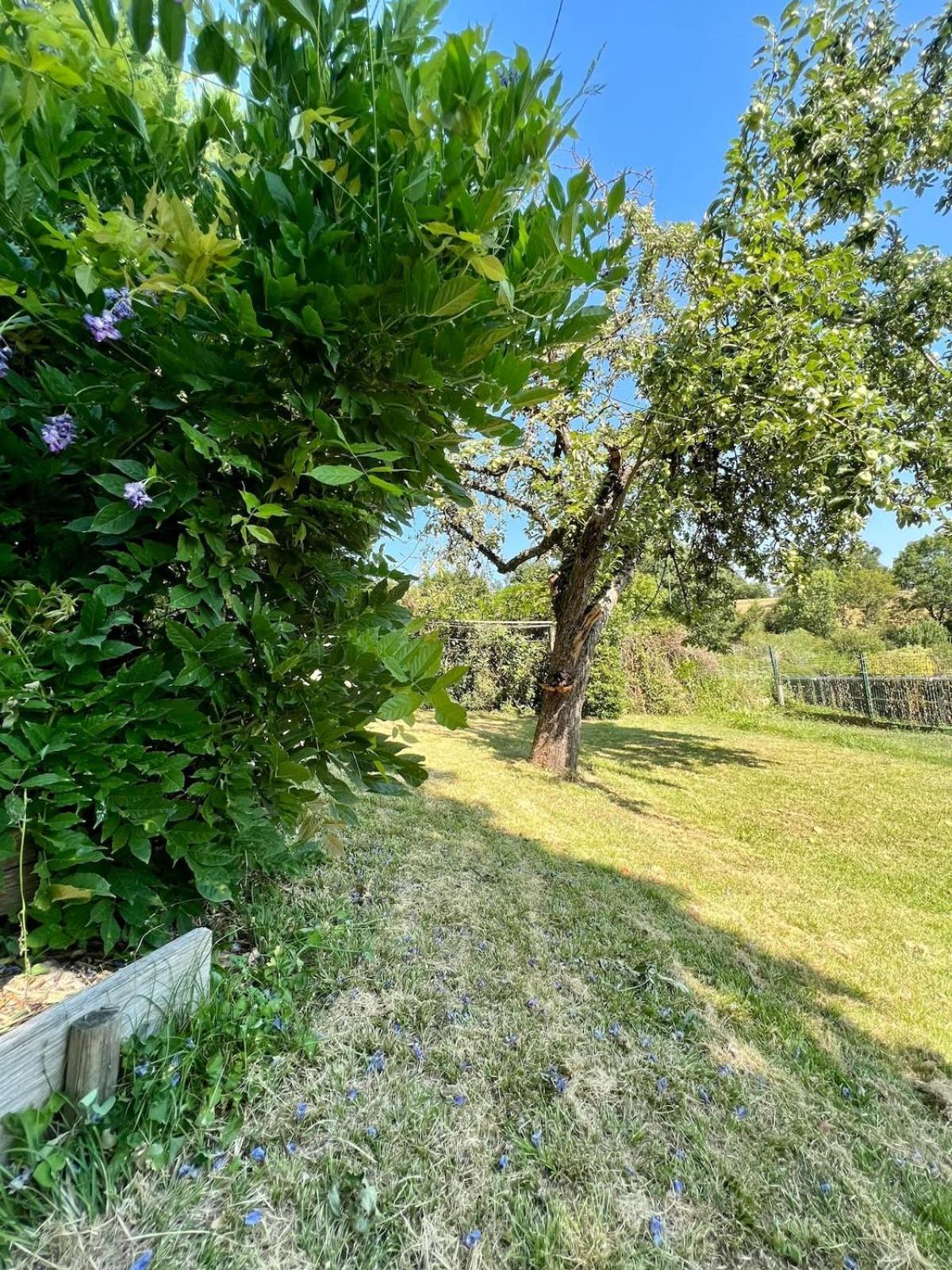 Villa La Baronnie - 11 Pers - Proche Brive -Jardin Ussac Exterior foto