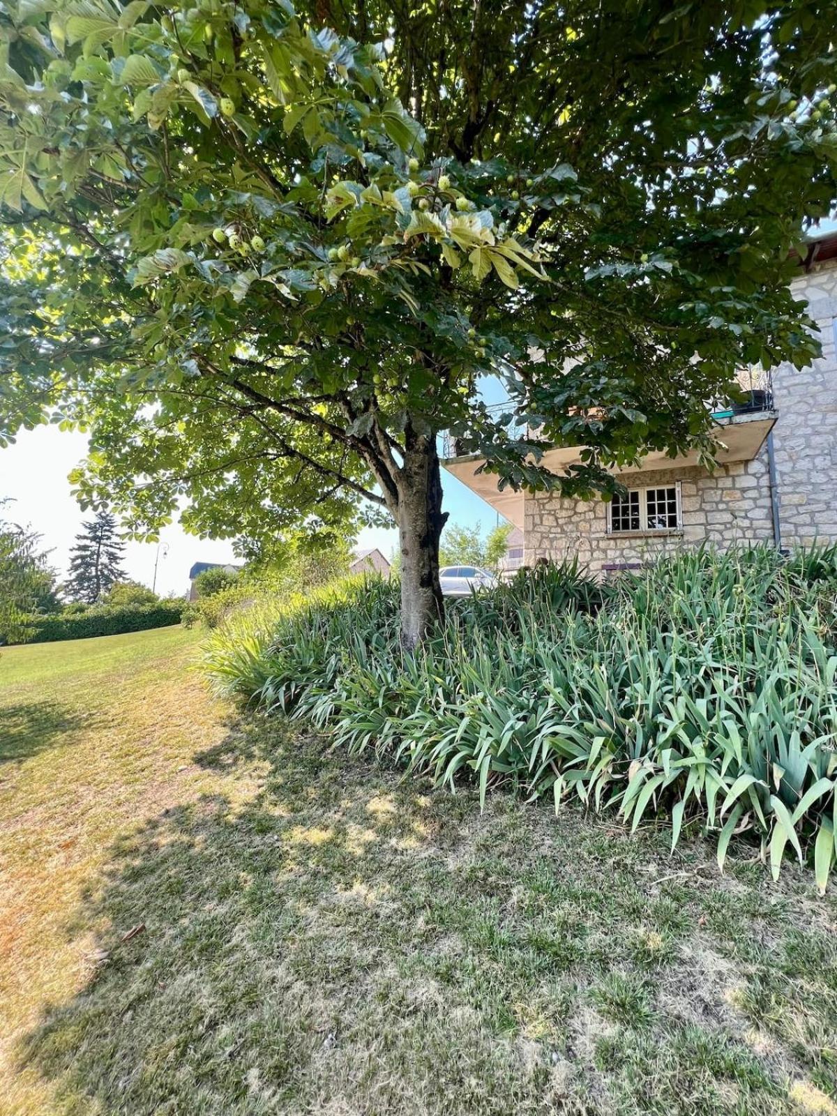 Villa La Baronnie - 11 Pers - Proche Brive -Jardin Ussac Exterior foto